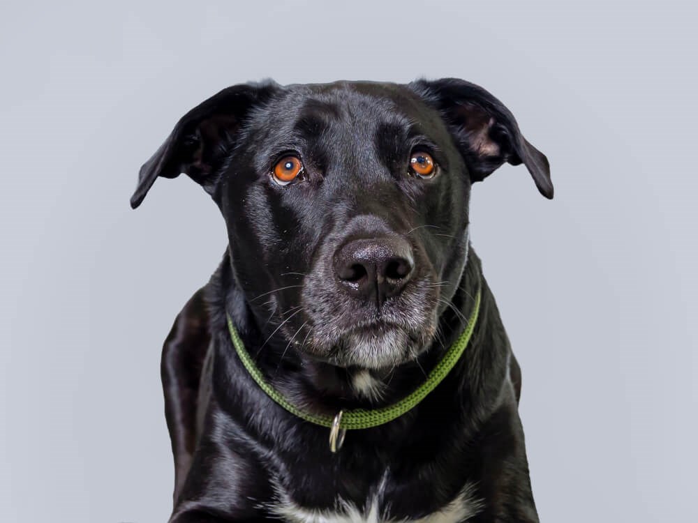 Zeke